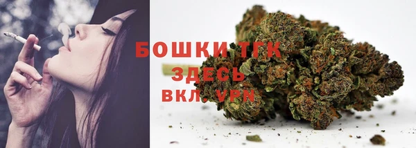 прущие грибы Гусев