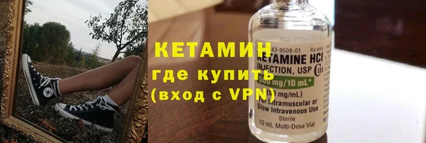 прущие грибы Гусев