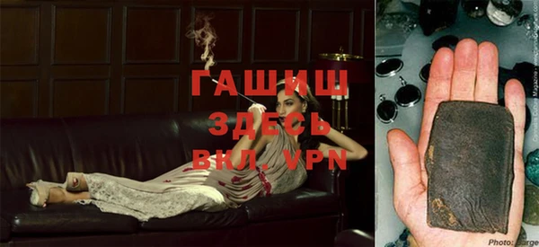 прущие грибы Гусев
