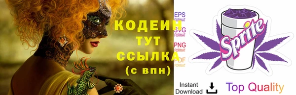 прущие грибы Гусев