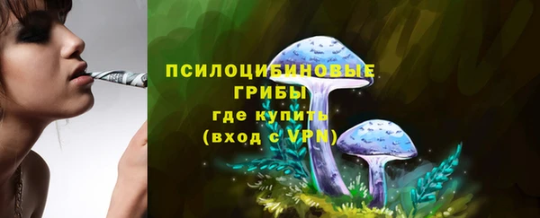 дурь Гусь-Хрустальный