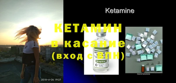 прущие грибы Гусев