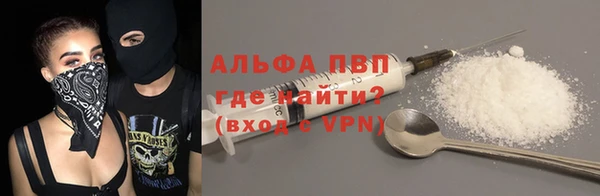 прущие грибы Гусев