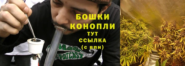 прущие грибы Гусев
