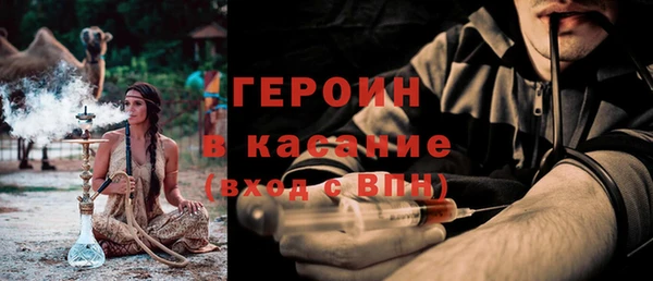 прущие грибы Гусев