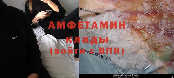 прущие грибы Гусев