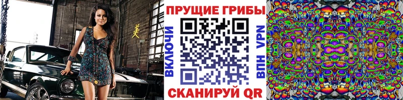 Галлюциногенные грибы прущие грибы  площадка как зайти  гидра как зайти  Няндома  наркота 